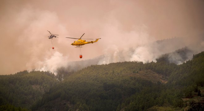 Požganih je več kot 13.300 hektarov površin. FOTO: Desiree Martin Afp