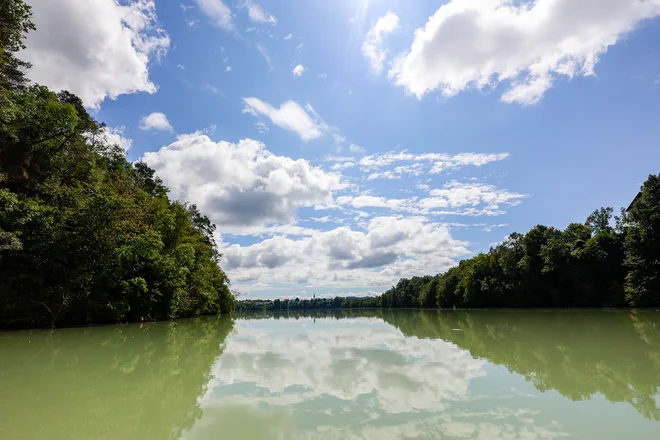 Sava se je iz pretočne reke spremenila domala v jezero, kar je dodobra vplivalo tudi na podvodne prebivalce. FOTO: Črt Piksi