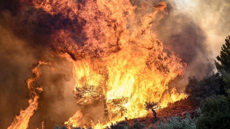 Fotografija: Grčija se to poletje znova sooča s številnimi hudimi požari v naravi. FOTO: Spyros Bakalis/AFP