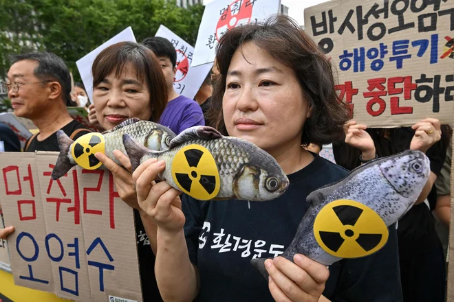 Japonska je kljub nasprotovanju sosednjih držav včeraj v Tihi ocean začela izpuščati obdelano radioaktivno vodo iz jedrske elektrarne Fukušima, ki jo je leta 2011 prizadel cunami. Nadzorni organ ZN za jedrsko varnost je načrt odobril. Odkar je cunami uničil elektrarno, se je nabralo približno 1,34 milijona ton vode, kar bi zadostovalo za napolnitev petsto olimpijskih bazenov, poroča BBC. Vodo načrtujejo postopoma izpuščati v morje prihodnjih 30 let. Japonska namreč že več kot desetletje zbira in shranjuje onesnaženo vodo v rezervoarjih, vendar je prostora vse manj. Foto: Jung Yeon-je/Afp