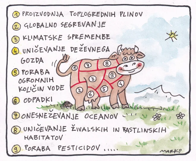KARIKATURA: Foto Marko Kočevar