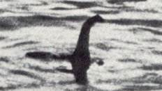 Fotografija: Podobo Nessie je najbolj zapečatila tako imenovana kirurgova fotografija iz leta 1934, za katero se je pozneje izkazalo, da je bil model, pritrjen na podmornico igračo. FOTO: Wikipedija