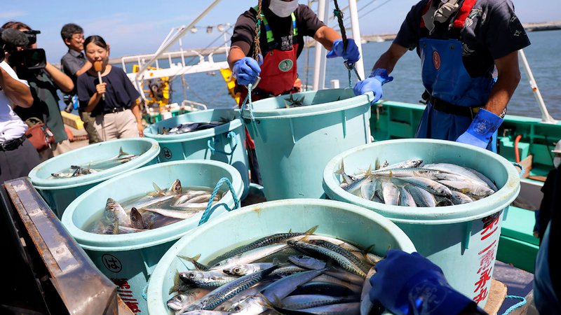 Fotografija: Japonski ribiči. FOTO: AFP