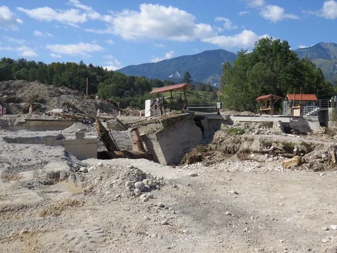 FOTO: Bojan Rajšek/Delo