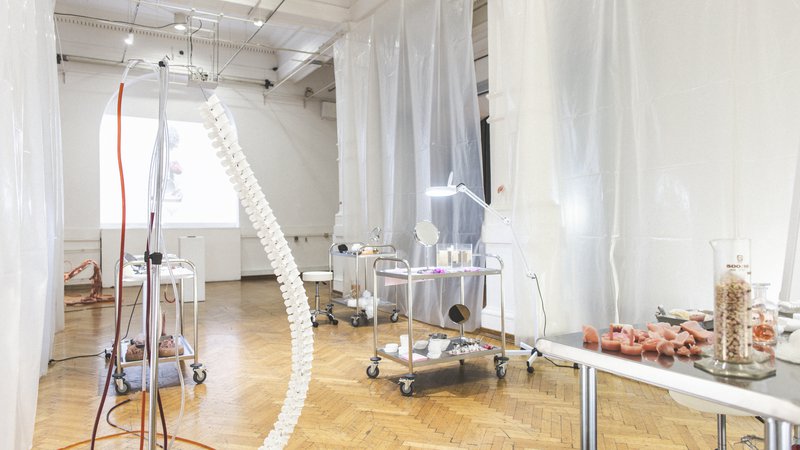 Fotografija: Umetnico je navdihnilo sodelovanje v tehnološki ekipi Prime 3D, ki si razvija sisteme 3D-tiskanja za medicinski sektor z namenom 3D-tiskanja telesnih organov v mehkih materialih. FOTO: Janez Klenovšek