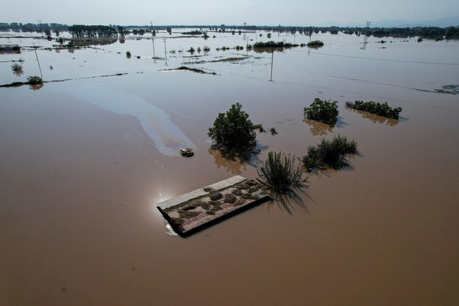 Poplave so uničile več tisoč hektarjev rodovitnih kmetijskih zemljišč, kmetje so izgubili tudi veliko živine. FOTO: Giannis Floulis/Reuters
