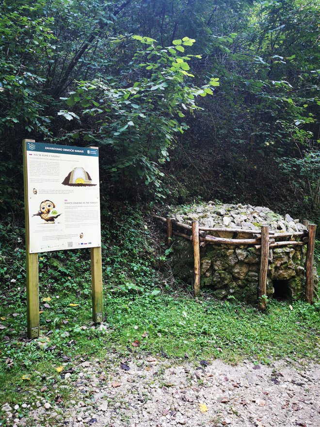 Okoli jame je speljana gozdna in geološka učna pot, dolga nekaj manj kot dva kilometra. FOTO: Beti Burger