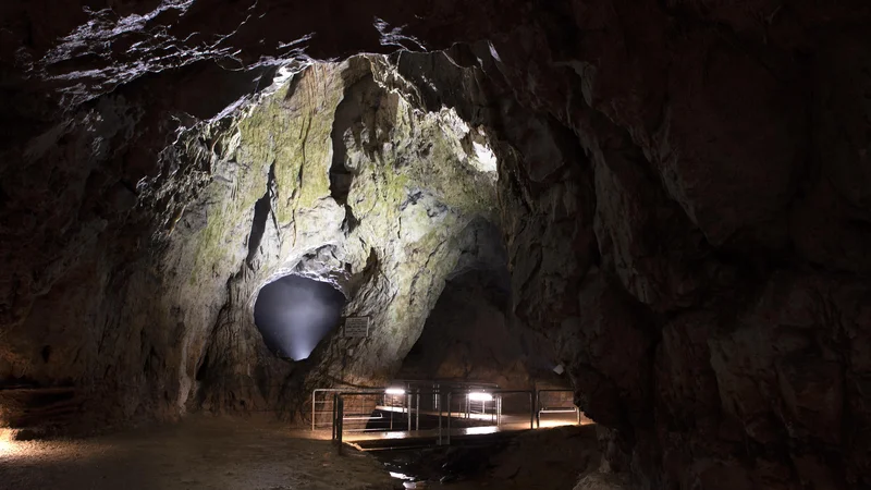 Fotografija: Jama Pekel je sestavljena iz dveh delov, spodnjega vodnega in zgornjega suhega. FOTO: Miran Orožim