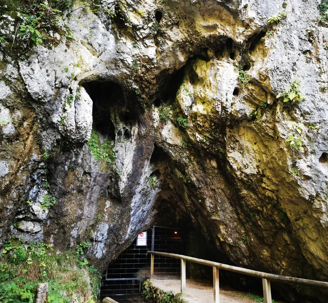 V skali pri vhodu je z nekaj domišljije mogoče videti peklenščka. FOTO: Beti Burger