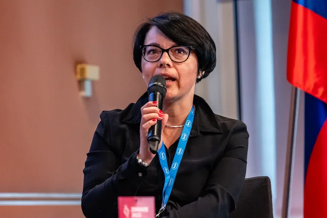 Nataša Hajdinjak, predsednica uprave Prve Osebne zavarovalnice. FOTO: Črt Piksi/Delo