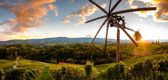 Štajerska je največji slovenski vinorodni okoliš,  vizualno neštetokrat ovekovečen zaradi srčka, ki ga cesta oblikuje v vasi Špičnik. FOTO: Shutterstock