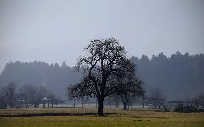 Pomembno je, da v zdravljenju bolečine sledimo nacionalnim in svetovnim smernicam in da najtežje bolnike s kompleksnejšimi bolečinami obravnavajo specializirani timi za zdravljenje take bolečine. FOTO: Blaž Samec/Delo