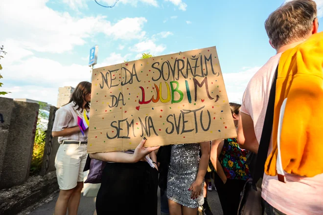 Utrinek z letošnje Parade ponosa v Ljubljani. FOTO: Črt Piksi/Delo