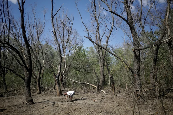 Krater v Romuniji, ki naj bi ga za seboj pustil strmoglavljeni ruski dron 7. septembra letos. FOTO: Ovidiu Micsik Inquam photos via Reuters
