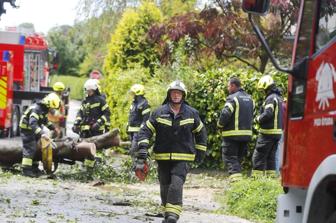 Dobrih 30 odstotkov nevladnih organizacij v javnem interesu je angažiranih pri varstvu pred naravnimi in drugimi nesrečami - največ je gasilskih društev. FOTO: Leon Vidic