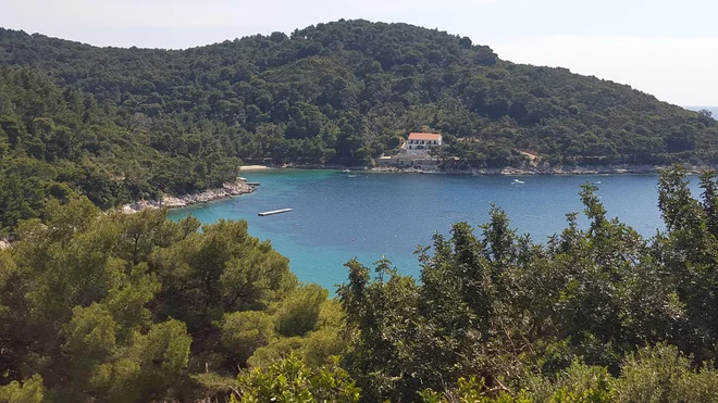 Mljet je danes skoraj v celoti zaščiten, z juga pa po morju dobiva odpadke. FOTO: Borut Tavčar/Delo