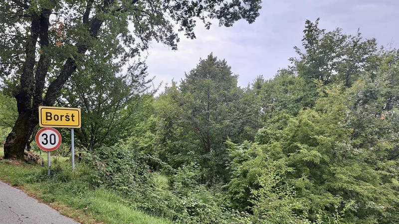 Fotografija: Boršt ima po razpoložljivih podatkih 264 prebivalcev, koga motijo domači ljubljenčki? FOTO: Moni Černe