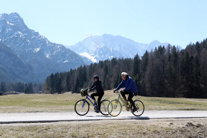 Novejše raziskave kažejo, da je mogoče s kanabinoidi in endokanabinoidi vplivati na vitalno dolgoživost, ki pomeni odsotnost bolezni. FOTO: Dejan Javornik/Delo