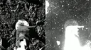 image_alt