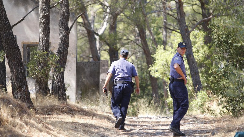 Fotografija: Policisti strelca niso videli, so pa slišali strel in nato zvok naboja, ki je zadel vejo v krošnji drevesa v njihovi neposredni bližini na hrvaški strani meje. Fotografija je simbolična. FOTO: Duje Klarić/Cropix