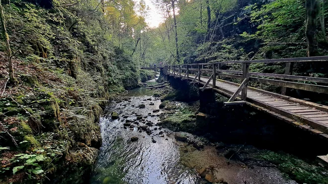 Soteska Kamačnik je z dolžino skoraj štirih kilometrov že prava mini treking tura. FOTO: Mitja Felc
