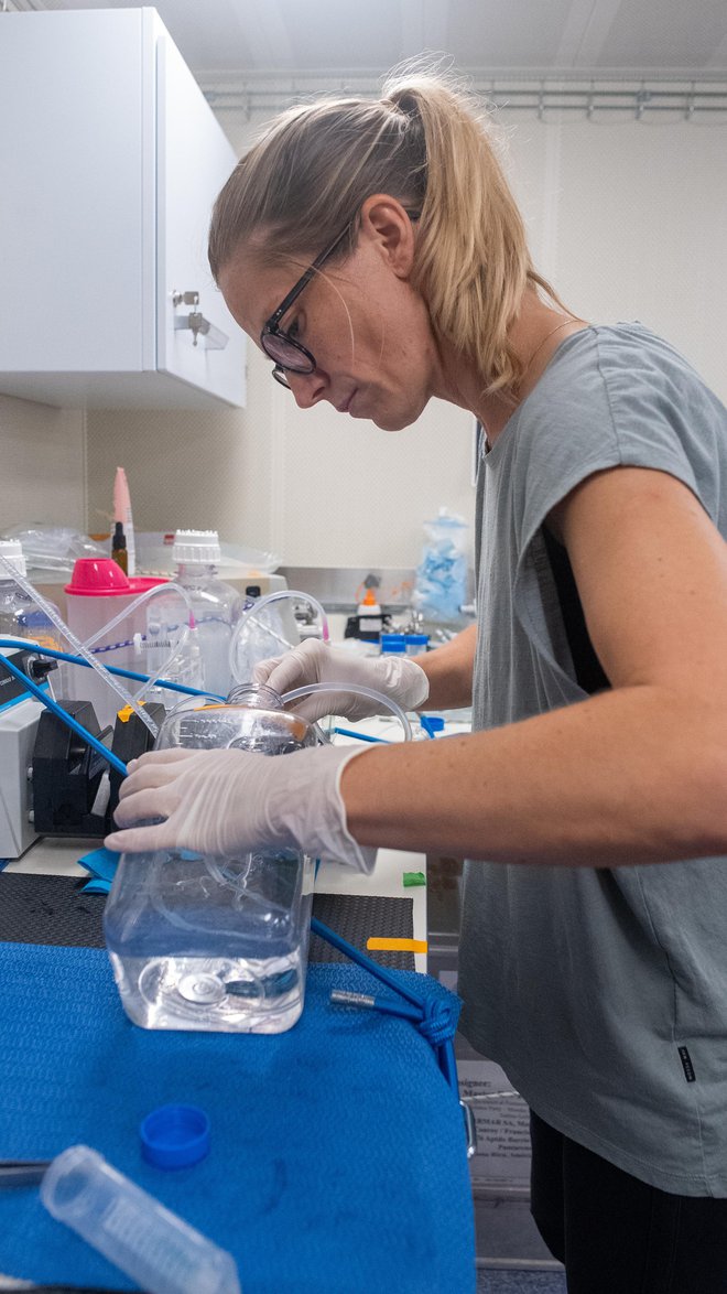 Tinkara Tinta med procesiranjem vzorcev, v katerih raziskuje globokomorske viruse. FOTO: Schmidt Ocean Institute