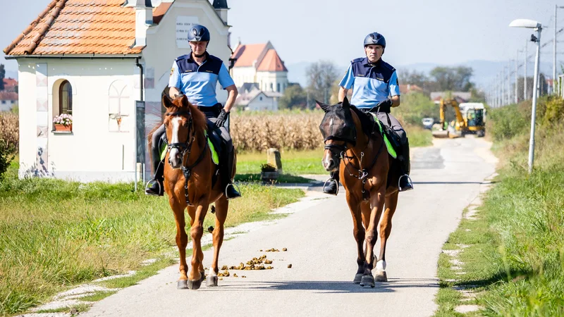 Fotografija: Nove policijske patrulje na območju Policijske uprave Novo mesto so postavljene v Rigoncah, Trnovcu pri Metliki in Kalinu pri Obrežju. FOTO: Črt Piksi/Delo