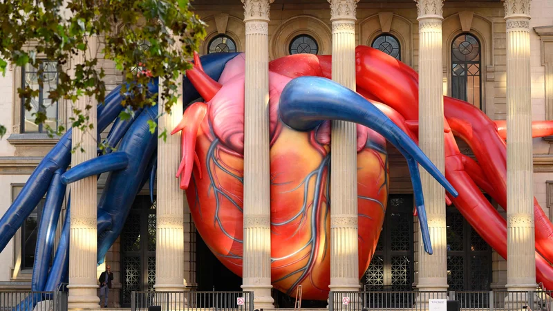 Fotografija: Umetniška instalacija El Corazon Secreto (Skrivno srce) španskega umetnika Jaumeja Plense je bila razkrita ob včerajšnjem svetovnem dnevu srca v bolnišnici v Barceloni. Foto: Josep Lago/Afp