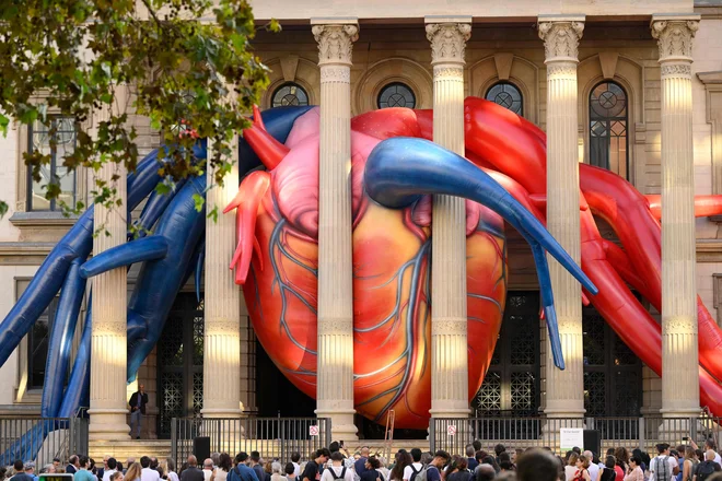 Umetniška instalacija El Corazon Secreto (Skrivno srce) španskega umetnika Jaumeja Plense je bila razkrita ob včerajšnjem svetovnem dnevu srca v bolnišnici v Barceloni. Foto: Josep Lago/Afp