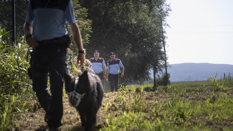 Fotografija: Patrulje slovenskih policistov na reki Kolpi, Podzemelj, 12. 8. 2019 FOTO: Voranc Vogel/Delo