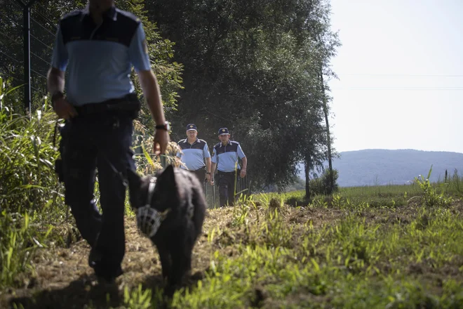 Patrulje slovenskih policistov na reki Kolpi, Podzemelj, 12. 8. 2019 FOTO: Voranc Vogel/Delo