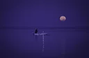 image_alt