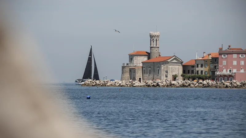 Fotografija: Temperatura, izmerjena na oceanografski boji Vida, vpliva tudi na morska živa bitja. FOTO: Uroš Hočevar/Kolektiff