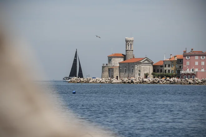Temperatura, izmerjena na oceanografski boji Vida, vpliva tudi na morska živa bitja. FOTO: Uroš Hočevar/Kolektiff