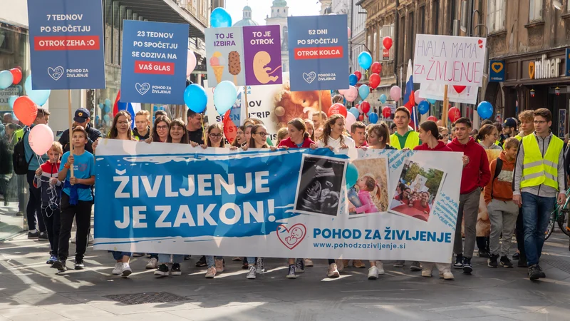V nekaterih evropskih državah splava ne dovoljujeta ne ustava ne zakon. Na fotografiji nedavni »shod za življenje« v Ljubljani. FOTO: Voranc Vogel/Delo