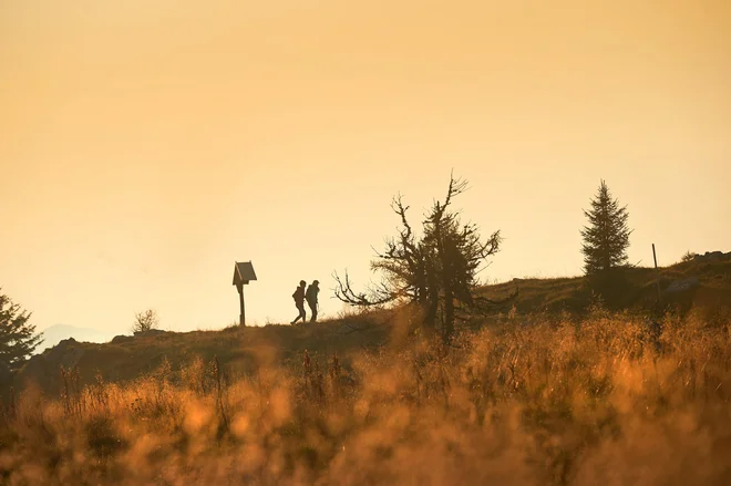 Uršlja gora ni priljubljena pohodniška točka le za Korošce, temveč tudi za številne druge planince in romarje ter je tako pomembna postojanka na Slovenski planinski poti. FOTO: Tomo Jeseničnik