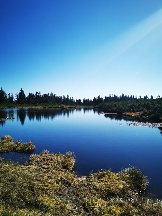 Ribniško jezero, ki ga je povodni mož menda »prestavil« s Plešivca. FOTO: Beti Burger