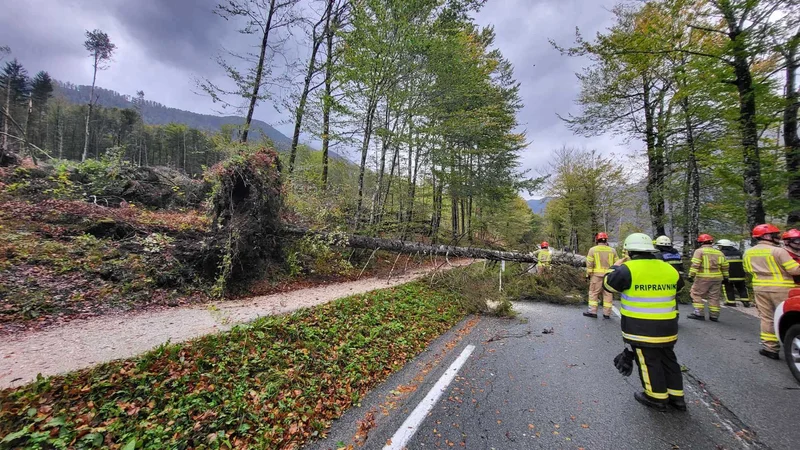 Fotografija: Veter je lomil drevesa. FOTO: Pgd Bohinjska Bistrica - Prostovoljno Gasilsko Društvo/Fb