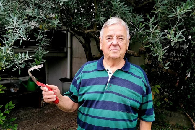 »Čeprav smo iztrgali pozabi veliko dragocenosti in z njimi napolnili muzeje, strokovno literaturo in mogoče privabili tudi kakšnega turista v naše muzeje, nas pejorativno imenujejo žličkarji, kar se mi ne zdi prav,« pravi Drago Svoljšak. FOTO: Brane Maselj