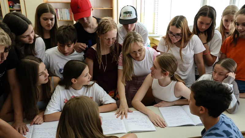 Fotografija: V OECD ugotavljajo, da so slovenski učitelji med najstarejšimi. FOTO: Črt Piksi