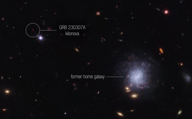 Levo zgoraj je viden izbruh gama žarkov GRB 230307A. Nevtronski zvezdi, ki sta ga povzročili, je izvrglo iu domače galaksije (spodaj desno) in sta prepotovali razdaljo 120.000 svetlobnih let. FOTO: NASA, ESA, CSA, STScI, A. Levan 