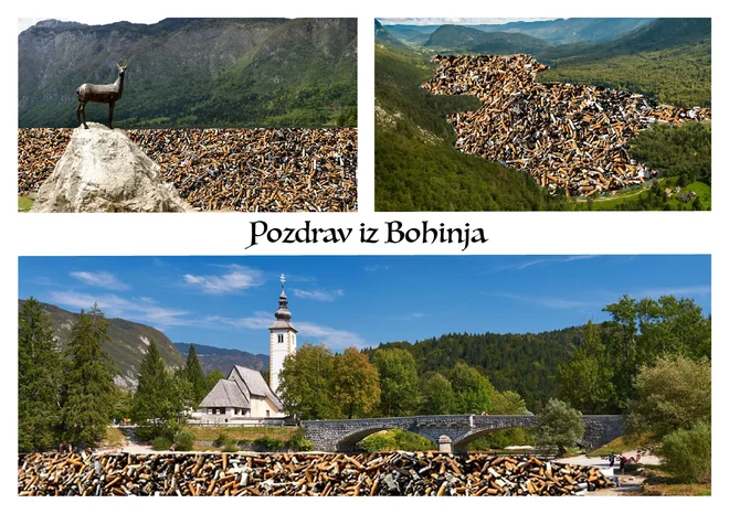 Tako bi čiki lahko poplavili Bohinjsko jezero. Zasnova Alenka Kreč Bricelj FOTO: Alenka Kreč Bricelj