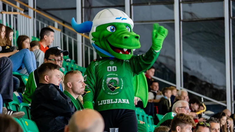 Fotografija: Navijači SŽ Olimpije so končno prišli na svoj račun. FOTO: Črt Piksi/Delo