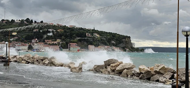 Lebič je popoldan povzročil nevšečnosti Piranu. Foto Boriis Šuligoj