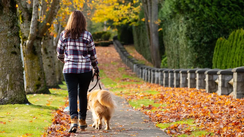 Fotografija: Moja jutra se praviloma začnejo z močno kavo in sprehodom z našo štirinožno razigrano Popi. FOTO: Shutterstock 