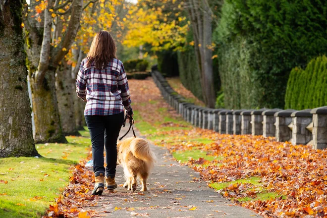 Moja jutra se praviloma začnejo z močno kavo in sprehodom z našo štirinožno razigrano Popi. FOTO: Shutterstock 