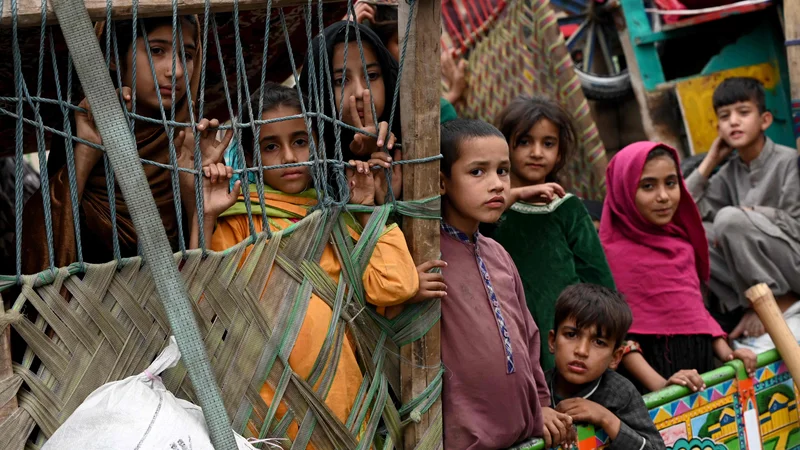 Fotografija: Afganistanski begunci prihajajo s tovornjaki iz Pakistana na afganistansko-pakistansko mejo Torkham v provinci Nangarhar. Islamabad je v začetku oktobra postavil ultimat 1,7 milijona Afganistancem, ki po njegovem mnenju nezakonito živijo v Pakistanu: zapustijo ga do 1. novembra ali pa jih čaka aretacija in izgon. Foto: Wakil Kohsar/Afp