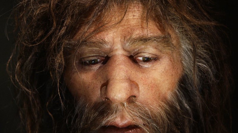 Fotografija: Prikaz obraza neandertalca v Muzeju krapinskih neandertalcev FOTO: Nikola Šolić/Reuters