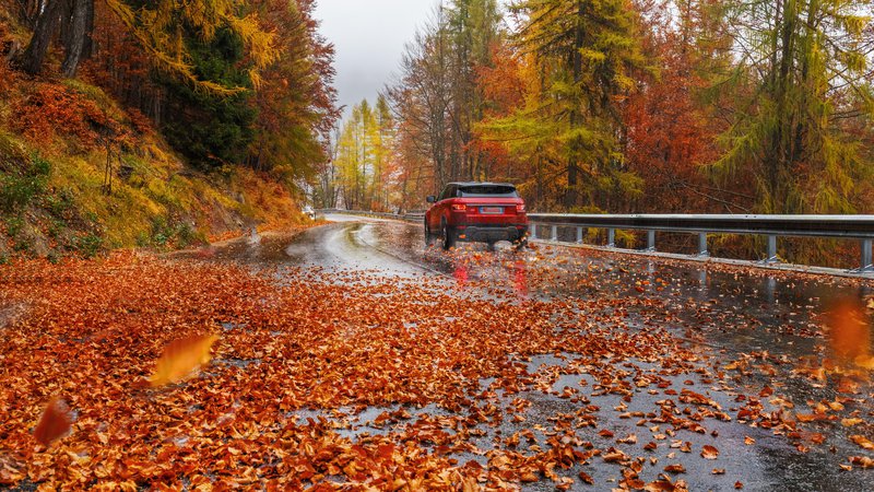 Fotografija: Vožnja v jesenskih mesecih nam včasih ponuja čudovite prizore, toda zaradi vlažnega cestišča in odpadlega listja je lahko zelo nevarna. FOTO: Shutterstock