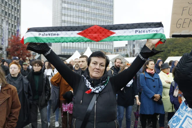 Prejšnji mesec je v Ljubljani potekal shod za Palestino. FOTO: Jože Suhadolnik
